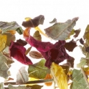 Фото Травяной чай с ежевикой, анисом, фенхелем Althaus Wellness Cup (вакуумная упаковка 75 гр.)